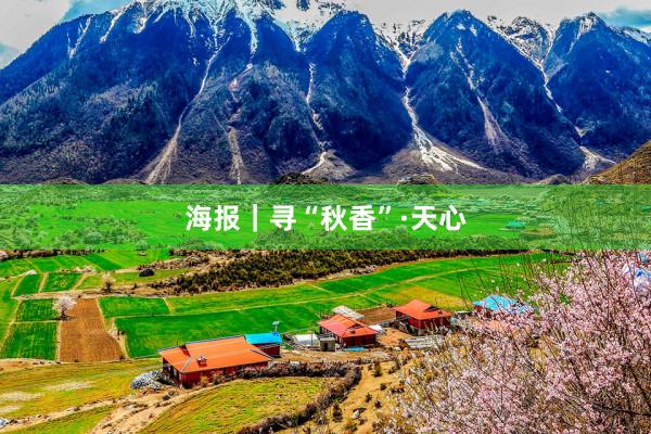 海报｜寻“秋香”·天心