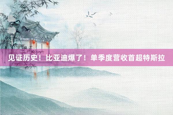 见证历史！比亚迪爆了！单季度营收首超特斯拉