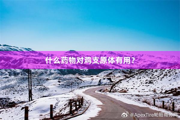 什么药物对鸡支原体有用？