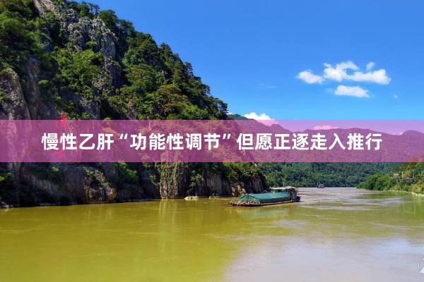 慢性乙肝“功能性调节”但愿正逐走入推行