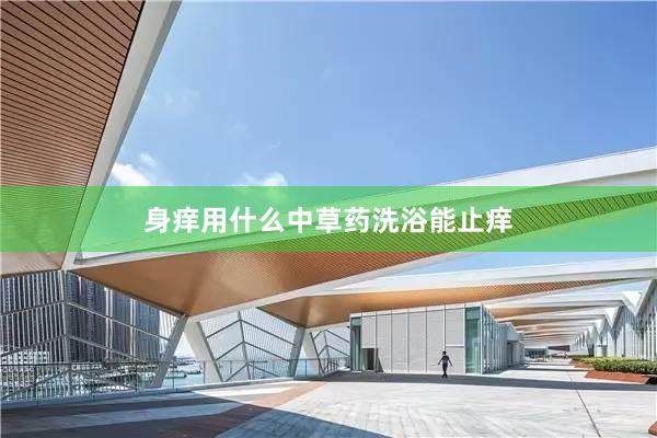 身痒用什么中草药洗浴能止痒