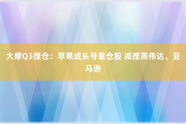 大摩Q3捏仓：苹果成头号重仓股 减捏英伟达、亚马逊