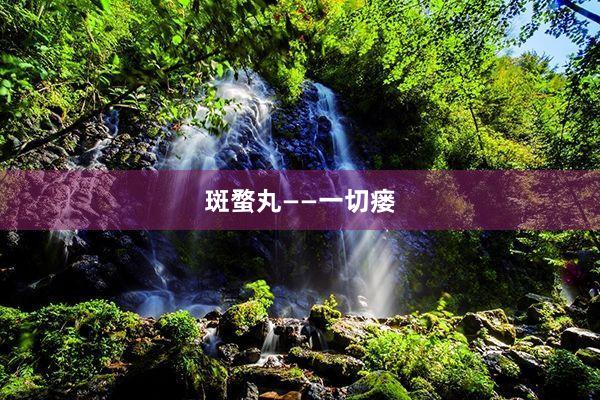斑蝥丸——一切瘘