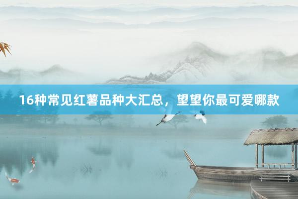 16种常见红薯品种大汇总，望望你最可爱哪款