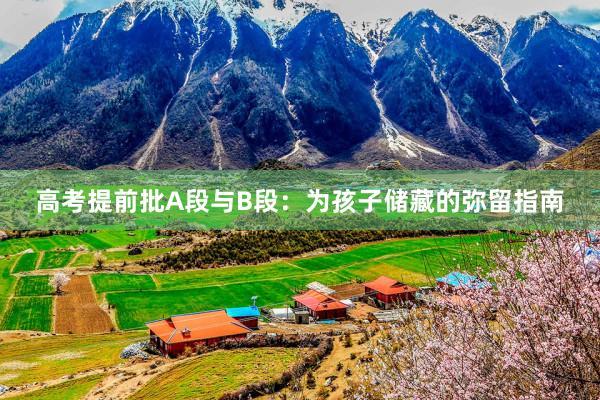 高考提前批A段与B段：为孩子储藏的弥留指南