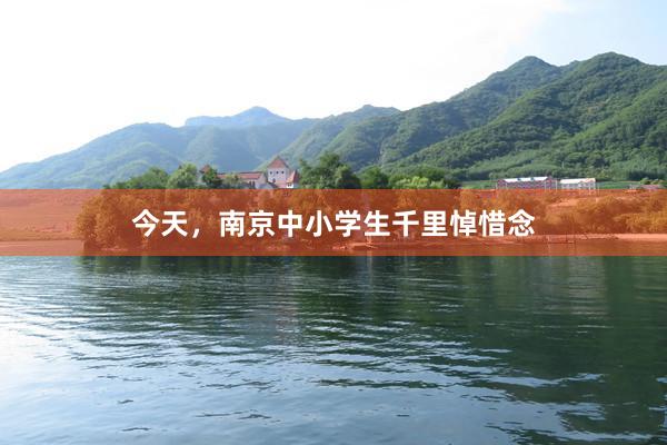 今天，南京中小学生千里悼惜念