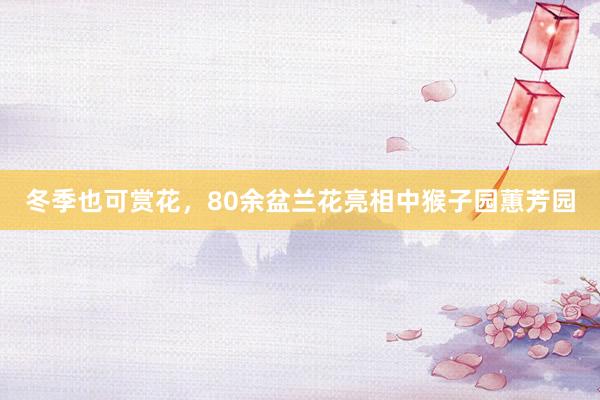 冬季也可赏花，80余盆兰花亮相中猴子园蕙芳园
